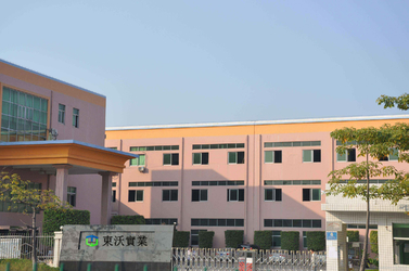 China Tungwille Lighting Co.,LTD