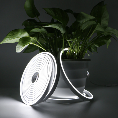Digital RGB Flex Neon LED Strip Light IP68 For Outdoor Decoration OEM