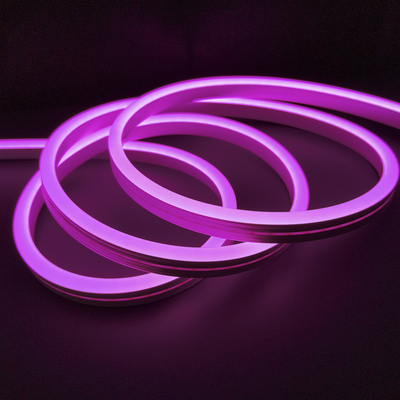 Multicolor LED Neon Flex Light Strip IP65 12 Volt 24 Volt For Decoration